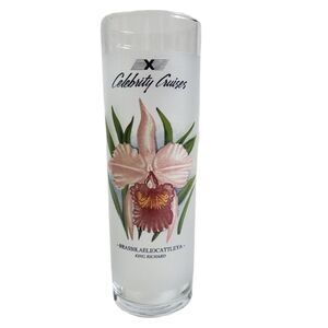 Celebrity Cruises Tall Frosted Cocktail Glass